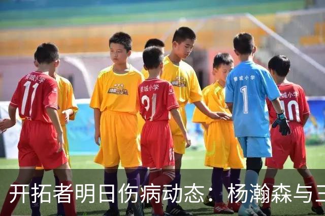 开拓者明日伤病动态：杨瀚森与三位双向球员的出战前景仍待观察